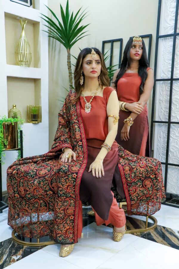 Organza Embroidery Shawl - Image 4